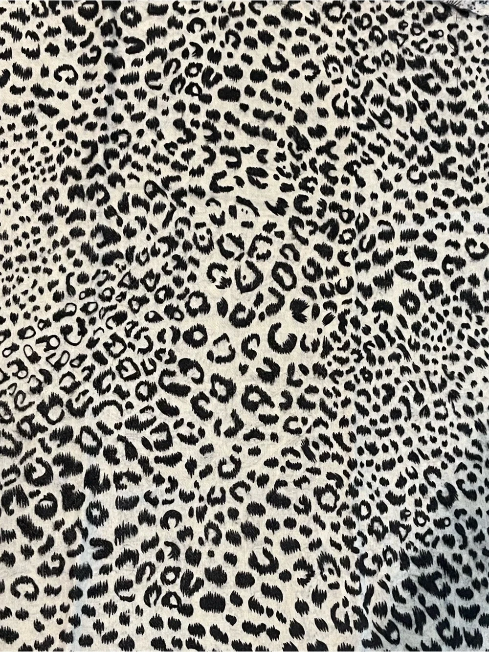 Carlisle Limited Edition Collector's Reversible Animal Print & Paisley Scarf
